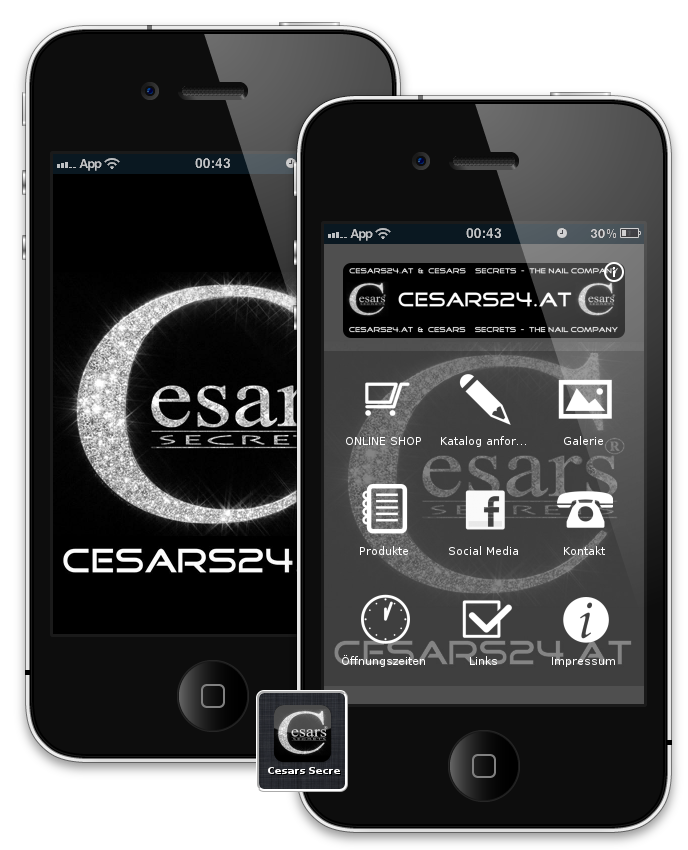 Die mobile App wird aktuell nur unter iPhone, iPod touch und Android unterstützt. Weitere Geräte werden folgen.